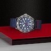 Tudor Pelagos FXD